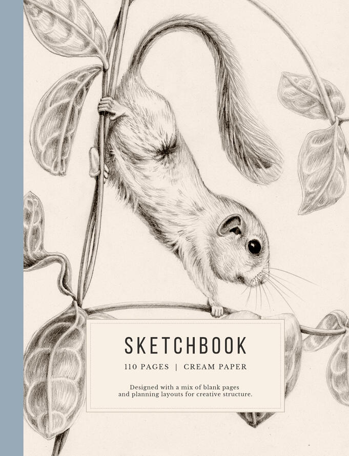 sketchcbook with hazel dormouse on honeysuckle lonicera nature sketching Anne Løvenskjold sketchcbook with hazel dormouse on honeysuckle lonicera nature sketching Anne Løvenskjold